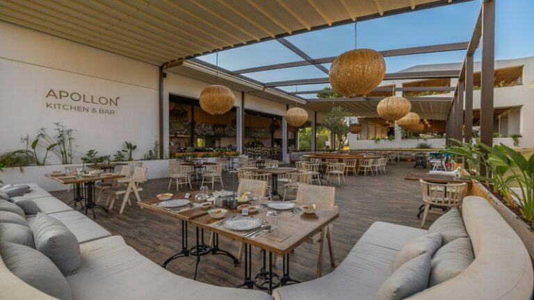 Dog Friendly Restaurants: What to Look For