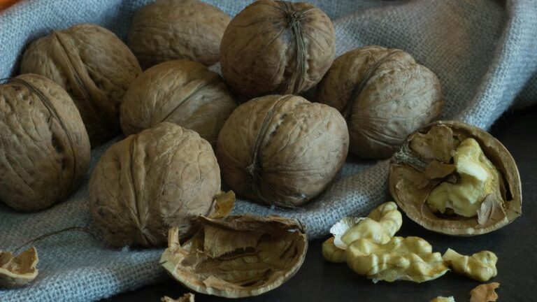 Can Dogs Eat Walnuts? Safety Guide for Pet Owners