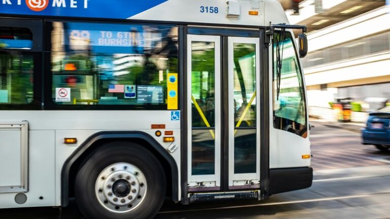 Can You Take a Dog on a Bus in Europe?