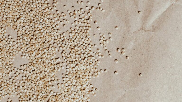 Can Dogs Eat Quinoa? Safety & Nutrition Guide