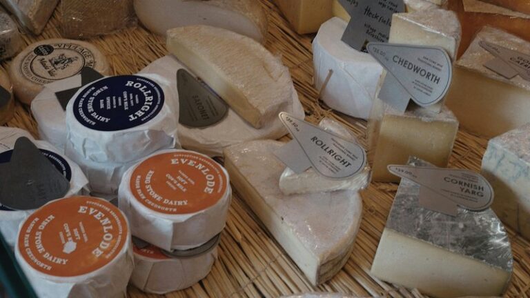 Can Dogs Eat Cheese? Safety Guide for Pet Owners