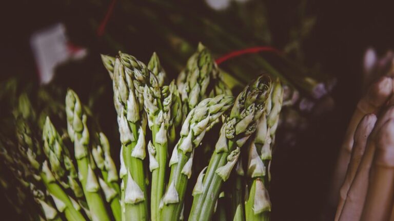 Can Dogs Eat Asparagus? Safety & Benefits