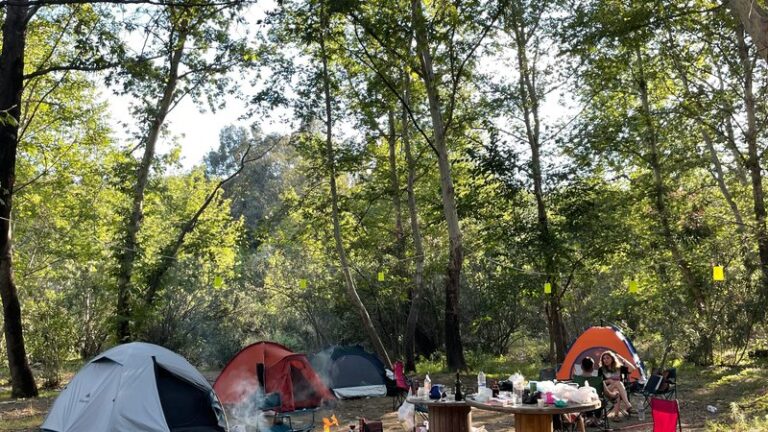 20 Dog Friendly Campsites in Europe: Best Spots for Your Canine Companion