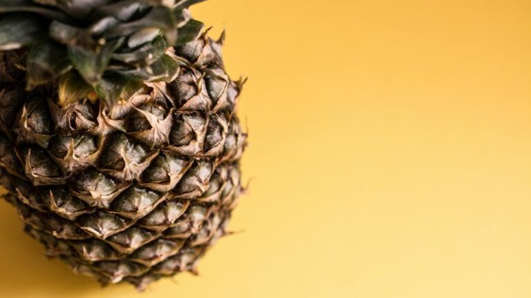 Can Dogs Eat Pineapple? Safety & Benefits