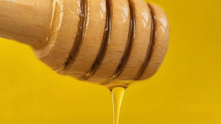 Can Dogs Eat Honey? Safety Guide for Pet Owners