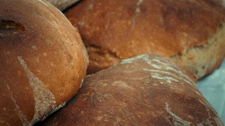 Can Dogs Eat Bread? Safety Guide for Pet Owners