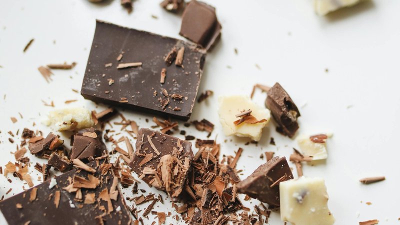 Les chiens peuvent-ils manger du chocolat ? Guide de sécurité pour les propriétaires d'animaux – Gardez la queue remuante