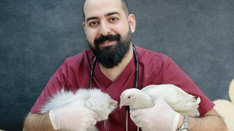 How to Find a Vet in a Foreign Country
