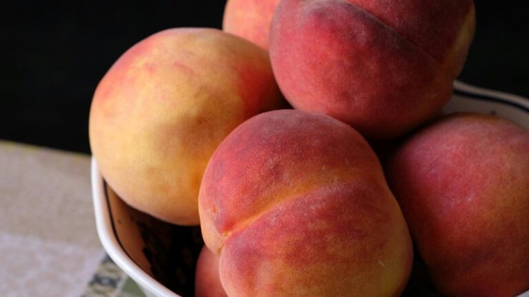 Can Dogs Eat Peaches? Safety Guide for Pet Owners
