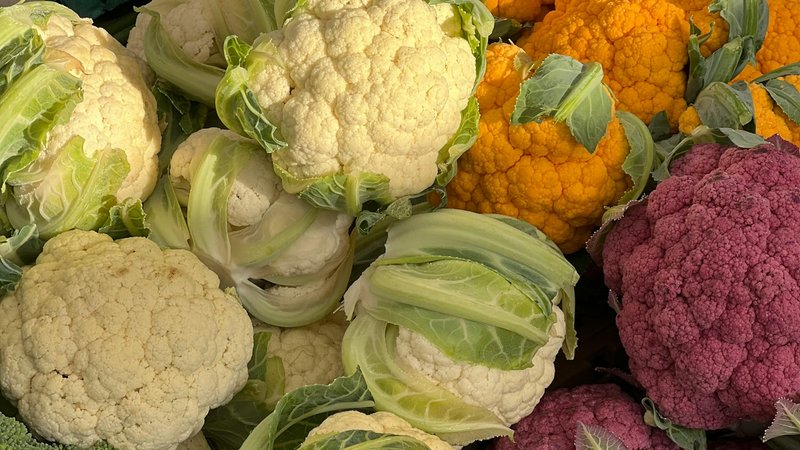 Les chiens peuvent-ils manger du chou-fleur ? Sécurité et avantages – Gardez la queue en mouvement