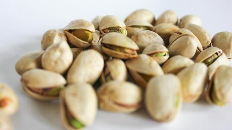 Can Dogs Eat Pistachios? Safety Guide for Pet Owners