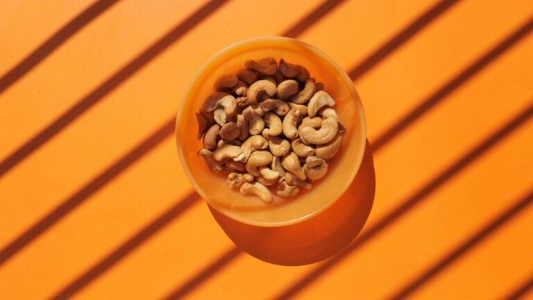 Can Dogs Eat Cashews? Safety Guide for Pet Owners
