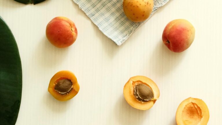 Can Dogs Eat Apricots? Safety Guide for Pet Owners
