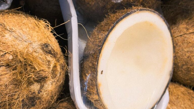 Can Dogs Eat Coconut? Safety Guide for Pet Owners