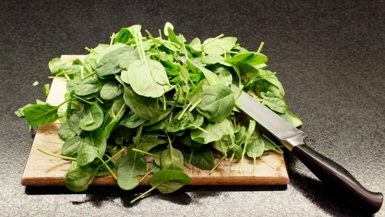Can Dogs Eat Spinach? Safety & Benefits Guide
