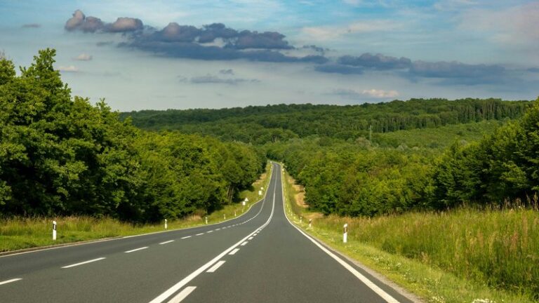 14 Pet Friendly Road Trip Destinations in Europe