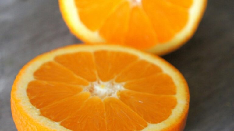 Can Dogs Eat Oranges? Safety Guide for Pet Owners
