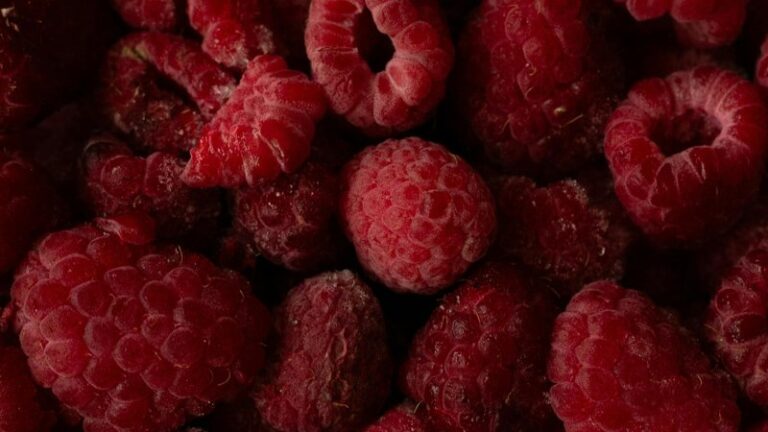 Can Dogs Eat Raspberries? Safety Guide for Pet Owners
