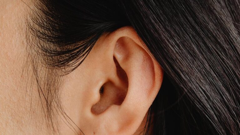 How to Clean Dog Ears Safely at Home