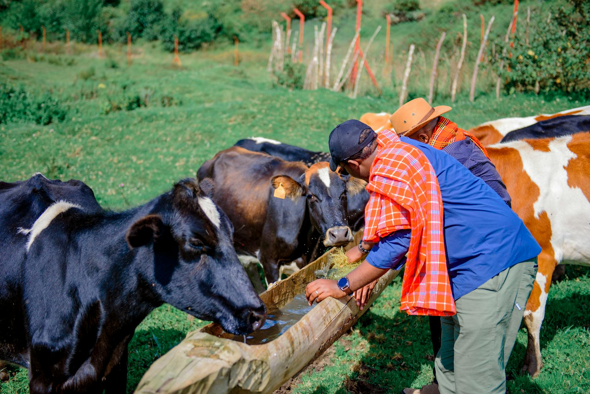 Kenya Country