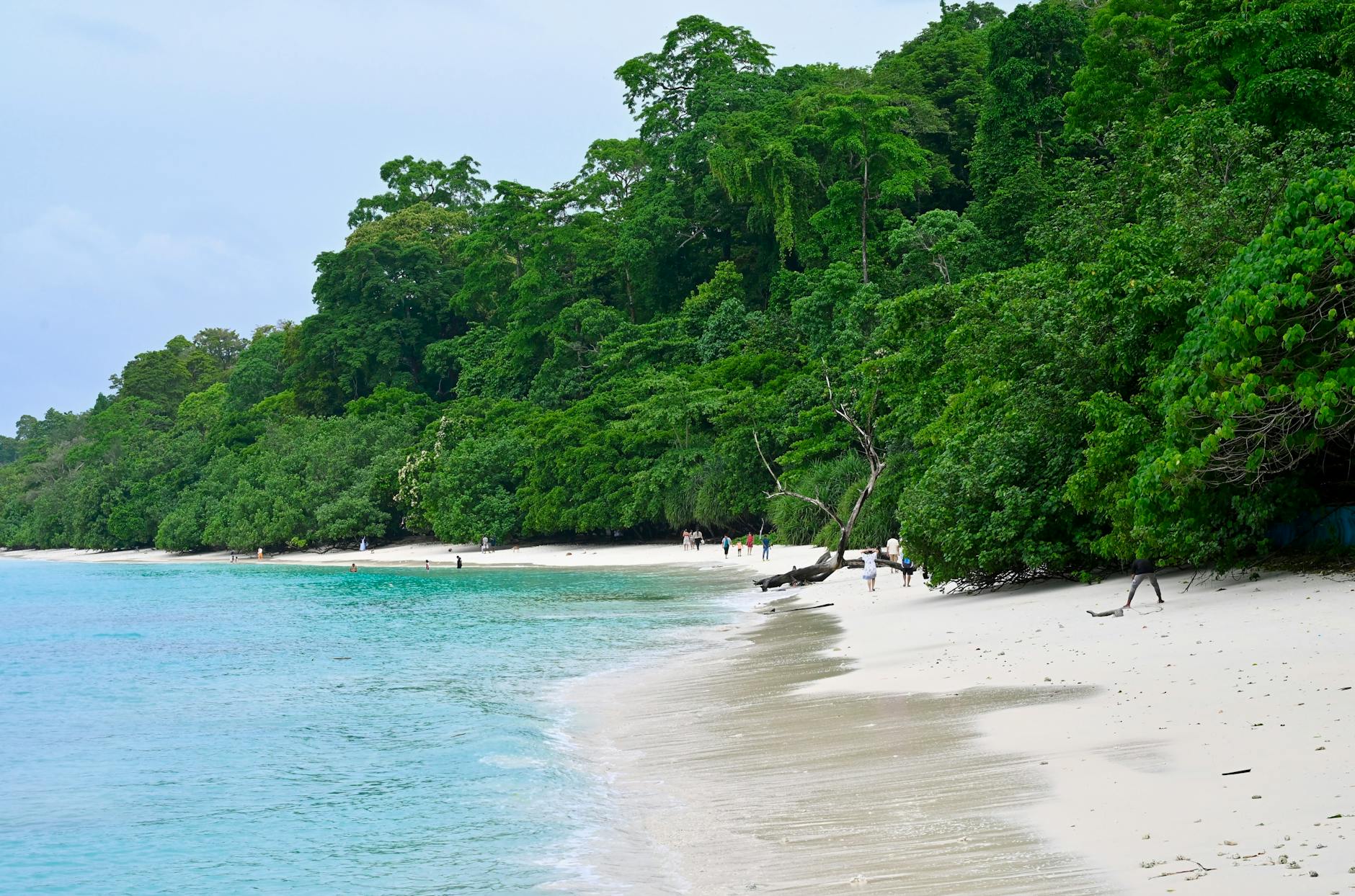 Andaman Islands Tropical Islands