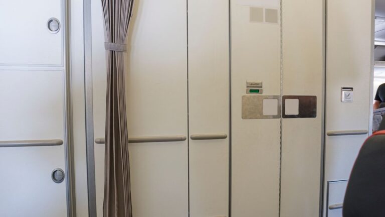 A Former Flight Attendant Revealed Exactly What Happens When Passengers Have *** on a Plane: “We Only Heard Moaning From the Bathroom”