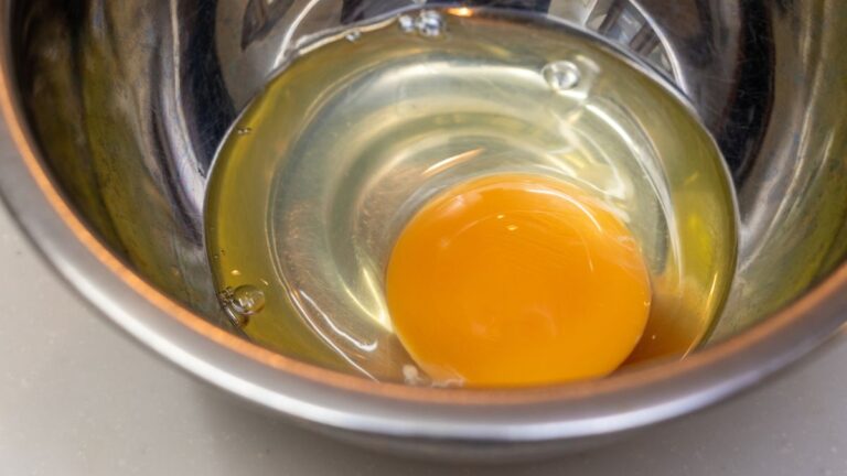 Everything You Need to Know About Feeding Raw Eggs to Dogs