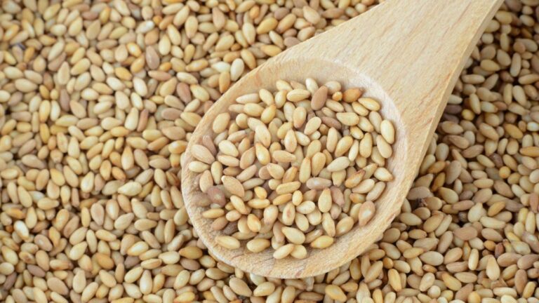 Can Dogs Eat Sesame Seeds? Is It Safe?