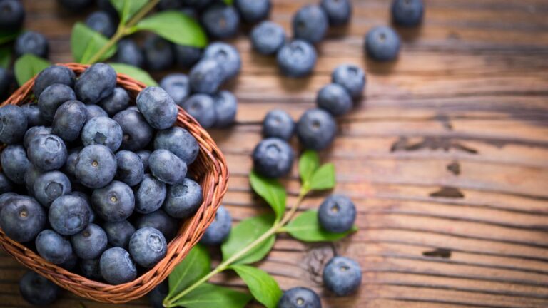 The Ordinary Foods Sitting in Your Kitchen That Could Transform Your Dog’s Health