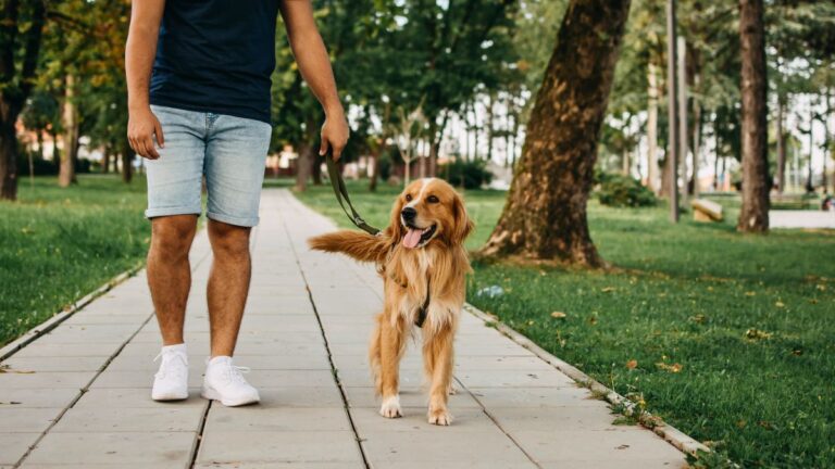 A 15,800-Year-Old Puppy Just Rewrote the Oldest Story of Dog and Human Friendship