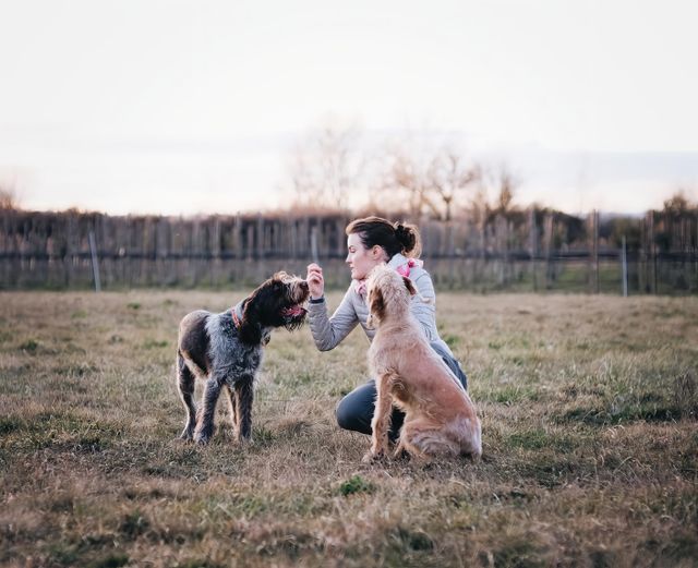 Why Trust Comes Before Training When You Adopt a Rescue Dog